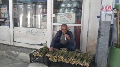 "'Yayla muzu' tezgahları doldurdu! Destesi 50-80 TL'den satılıyor
