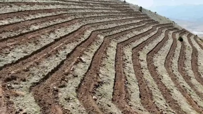 Niğde'nin Himmetli Köyü'nde dev ağaçlandırma projesi: 100 hektarlık alan yeşillendirilecek