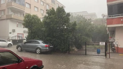 Osmaniye'de fırtınadan sonra: Ağaçlar kökünden söküldü, su birikintileri oluştu