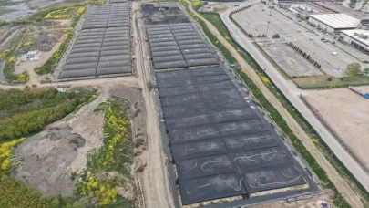 İzmit Körfezi'nde temizlik çalışmaları sonuç verdi: Sosyal medya fenomeni 2 saatte 100 kg mırmır avladı
