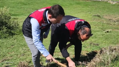 Amasya'da süne ile mücadele: Tarım ekipleri neleri hedefliyor?