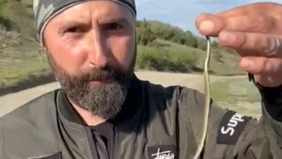 Yaz aylarının habercisi: Yavru yılanlarla karşılaşma riski artıyor! Dikkat edin!
