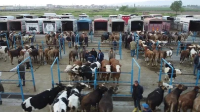 Afyonkarahisar'da kurbanlık hareketliliği başladı: Afyonkarahisar'da kurbanlık hayvan satışları arttı