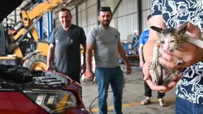 Başiskele Belediyesi araçta sıkışan kediyi kurtardı