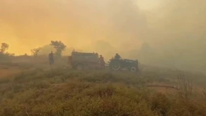 Gebze orman yangını söndürülüyor