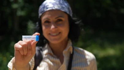 Doğaseverler Kuzuyayla’da 144 tür keşfetti