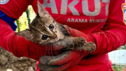 Yavru kedi 7 günlük esaretten kurtarıldı