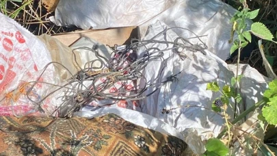 İzmit belediyesi çöp dökene 29500 TL ceza kesti