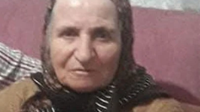 Körfez'de otomobil 72 yaşındaki kadına çarptı