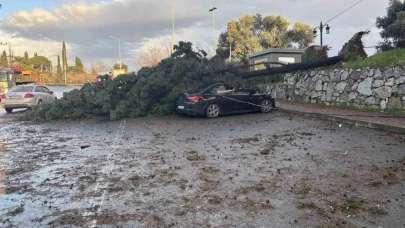 Gebze’de fırtına iki aracı hasara uğrattı