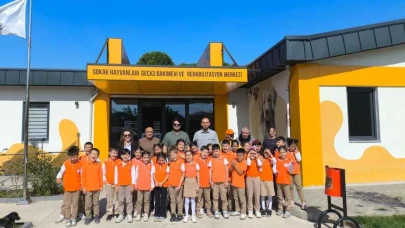 Çayırova’da 328 sokak hayvanı yuva buldu