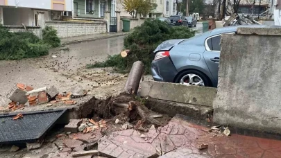 Kocaeli'de rüzgar dev ağacı arabaya devirdi