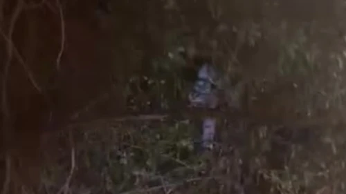 Çocuk ağaçtan itfaiyeyle kurtarıldı