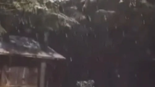 Kocaeli’ye yılın ilk karı düştü