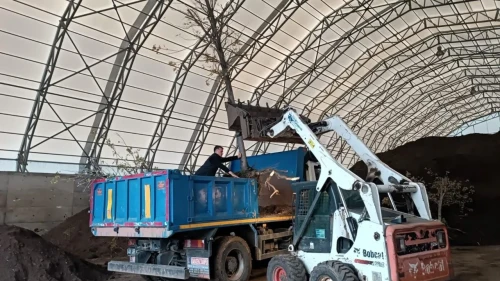 Kocaeli torf üretimiyle 50 milyon lira kazandı