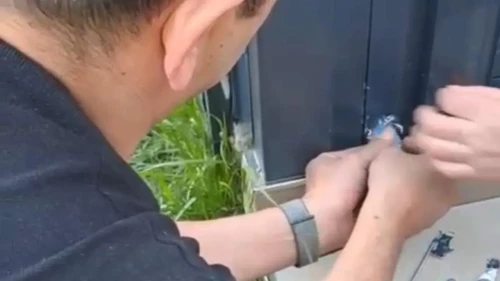 Düzce'de film gibi kurtarma: İtfaiye pervaza sıkışan muhabbet kuşu için seferber oldu