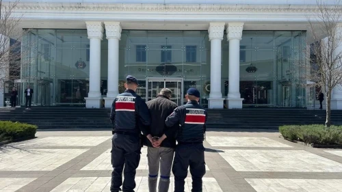 Düzce'deki yangının şüphelisi çalılıkta kıskıvrak yakalandı: Sabıkası kabarık çıktı