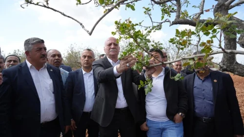 TZOB Genel Başkanı Bayraktar, Gaziantep'te dondan etkilenen bahçeleri inceledi: Bahçeler don ve yağışsızlıktan oldukça etkilendi