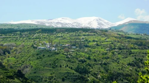 Posof'ta bahar coşkusu: Doğanın renkleriyle büyülenmeye hazır mısınız?