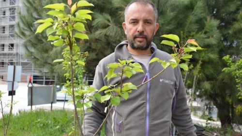 Volkan Ayaz, dededen kalma fidancılık geleneğini sürdürüyor: Hangi fidanlar en çok ilgi görüyor?
