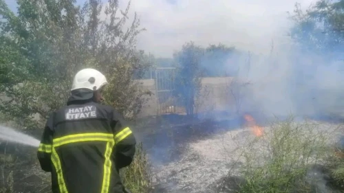 Hatay'da narenciye bahçesindeki yangın paniğe neden oldu, itfaiye hızlı müdahale ile felaketi önledi