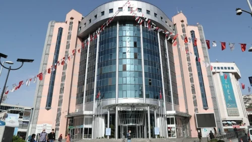 Akmeşe'de sahipsiz köpek skandalı: Kocaeli Büyükşehir Belediyesi sorumlu