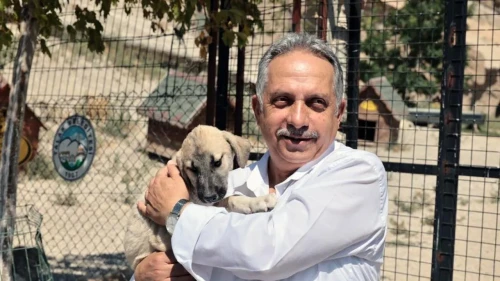 Kayseri Talas Belediyesi pati evi: On binlerce sahipsiz can için yeni bir yuva
