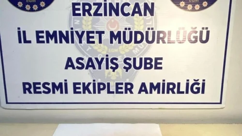 Erzincan'da uyuşturucu şokuyla karşılaşan polis: 9 adet EXTACY ele geçirildi