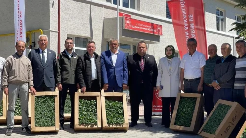 Gölpazarı'nda yerli ve milli fide destekleri çiftçileri sevindiriyor
