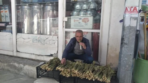 "'Yayla muzu' tezgahları doldurdu! Destesi 50-80 TL'den satılıyor