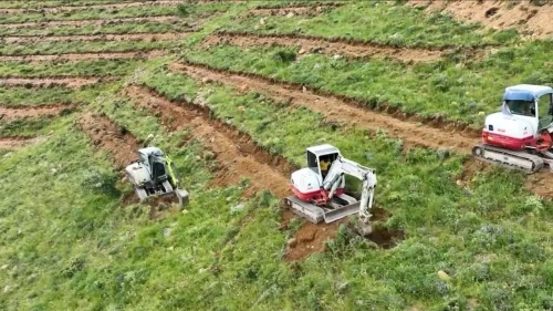 Niğde Çamardı'nda 65 bin fidanla büyük ağaçlandırma hamlesi: 227 hektarlık alanda ağaçlandırma yapıldı