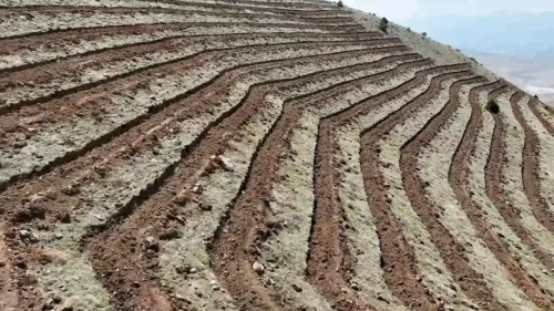Niğde'nin Himmetli Köyü'nde dev ağaçlandırma projesi: 100 hektarlık alan yeşillendirilecek