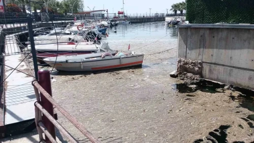 Kocaeli'nde şok karar: Satış pazarı sarsıldı