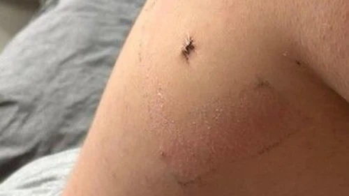 Gebze'de şaşırtan olay: Özel kurs binasında öğrenciyi bıçakla yaralayan saldırgan serbest bırakıldı