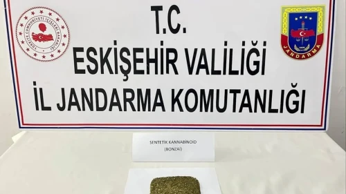 Eskişehir'de ilçeye uyuşturucu taşıyan 2 şüpheli yakalandı