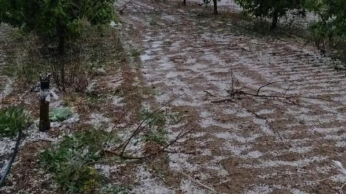 Karapınar'da yağmur sevinci: Kuraklık korkusu yerini umuda bıraktı