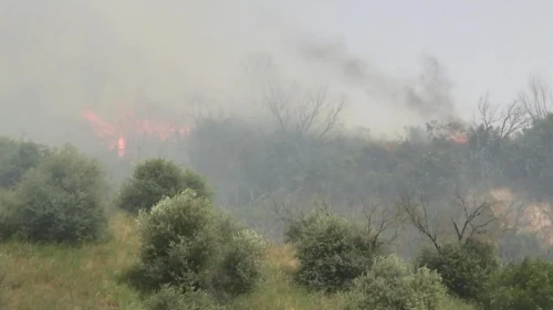 Aydın İmamköy Mahallesi'nde büyük yangın kontrol altına alındı