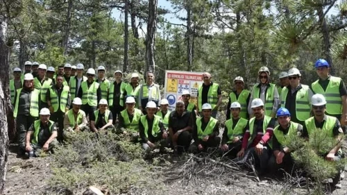 Beyşehir'de ormancılara yönelik eğitimle ağaç kesme ve budama teknikleri öğrenildi
