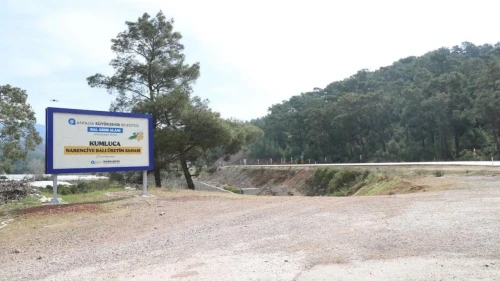 Antalya'nın eşsiz narenciye balı coğrafi işaret için harekete geçti