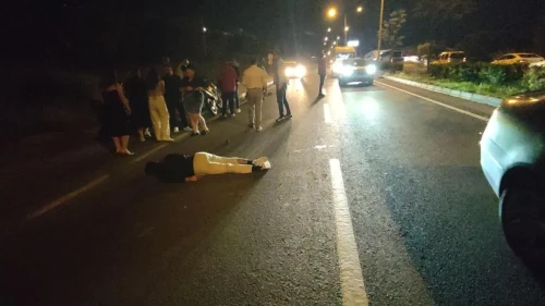 Kuşadası'nda gece yarısı feci kaza: Motosiklet domuz sürüsüne çarptı, sürücü ağır yaralı