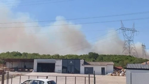 Gebze ormanlık alanında yangın çıktı