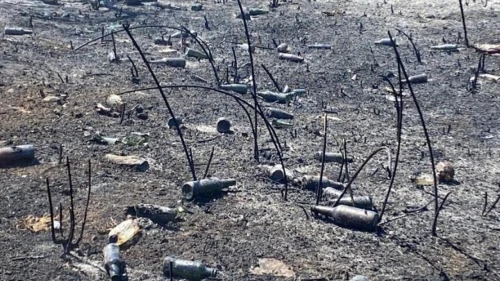 Kartepe’de çıkan yangın sonrası cam şişeler dikkat çekti