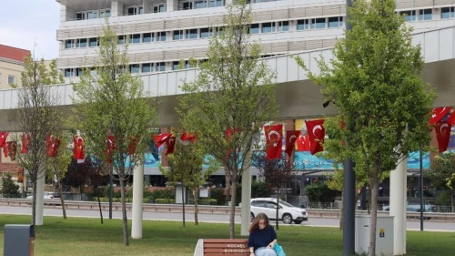 Milli İrade Meydanına 316 fidan dikildi