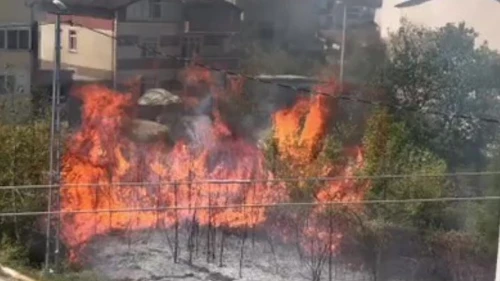 Kartepe'de otluk yangını binalara sıçramadan söndürüldü