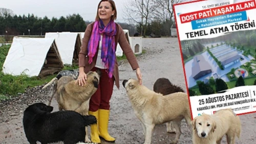 İzmit belediyesi Dost Pati temelini atacak
