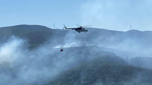 Karamürsel'de orman yangını kontrol altına alındı