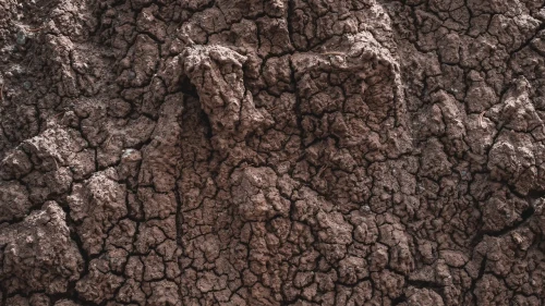 İzmitKandıra yolunda heyelan trafiği etkiledi