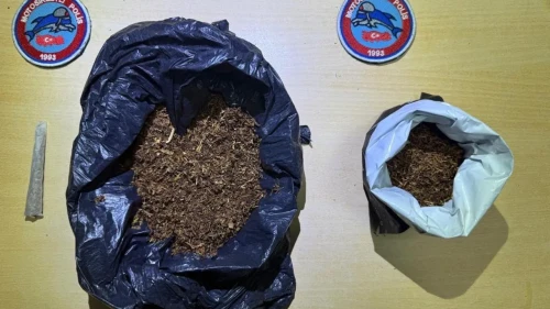 Kocaeli polisi bonzai operasyonu yaptı