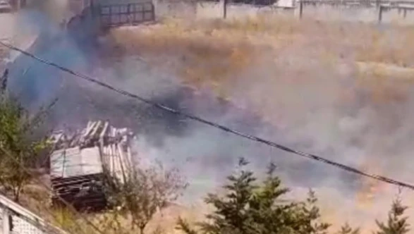 Darıca’da otluk alanda yangın söndürüldü