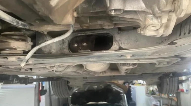Otomobilin motoruna sıkışan kedi için seferberlik: Sapanca'daki tamirci kahraman oldu